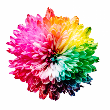 Blume